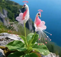 Vibrant Peacock Flower Seeds Pack of 1